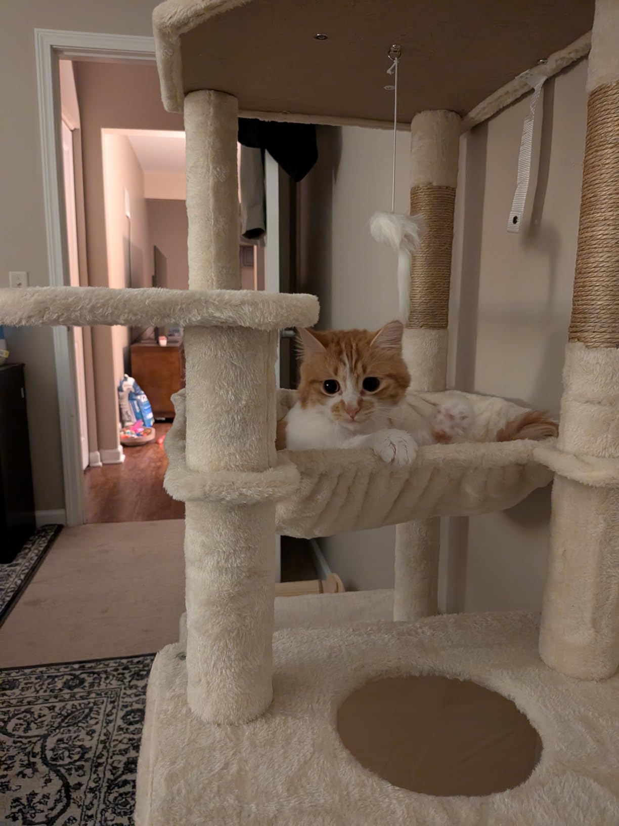 Globlazer F70 Pro Heavy Duty Cat Tree Tower for Indoor Cats Large Adult customer photo 1