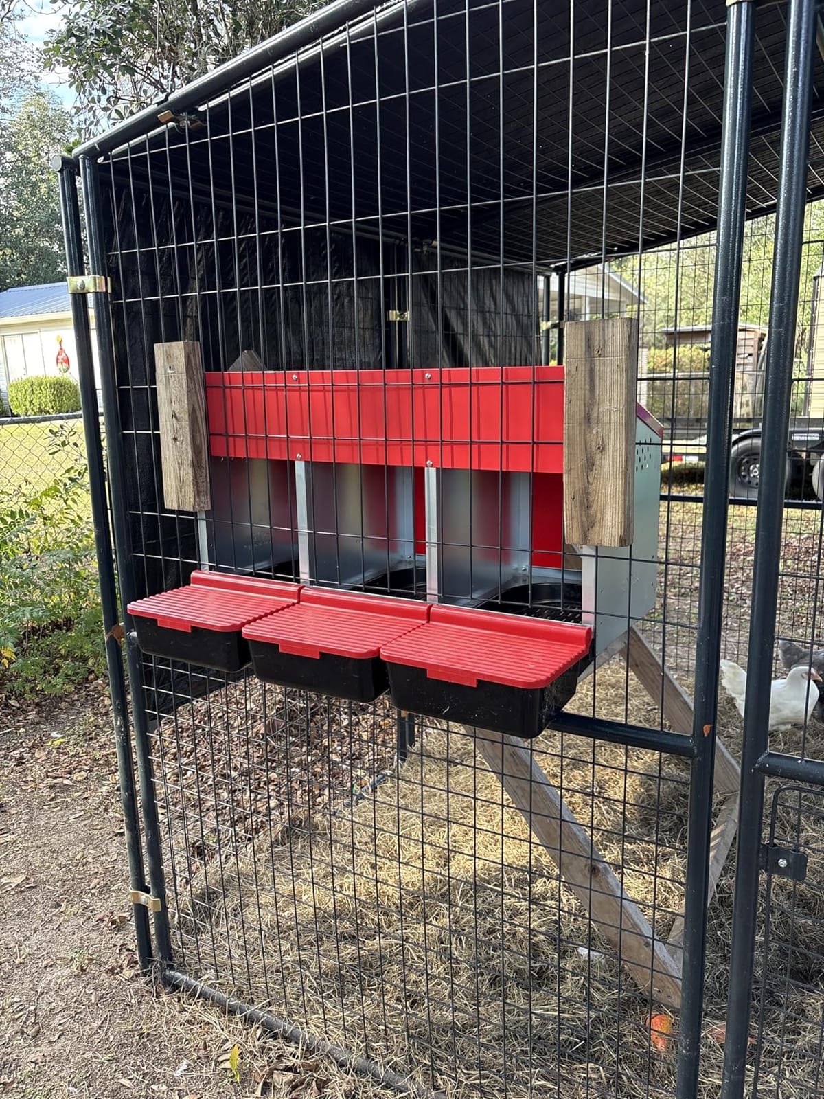 RentACoop Metal Chicken Nesting Box, Roll Out Reversible, 3 Compartments customer photo 2