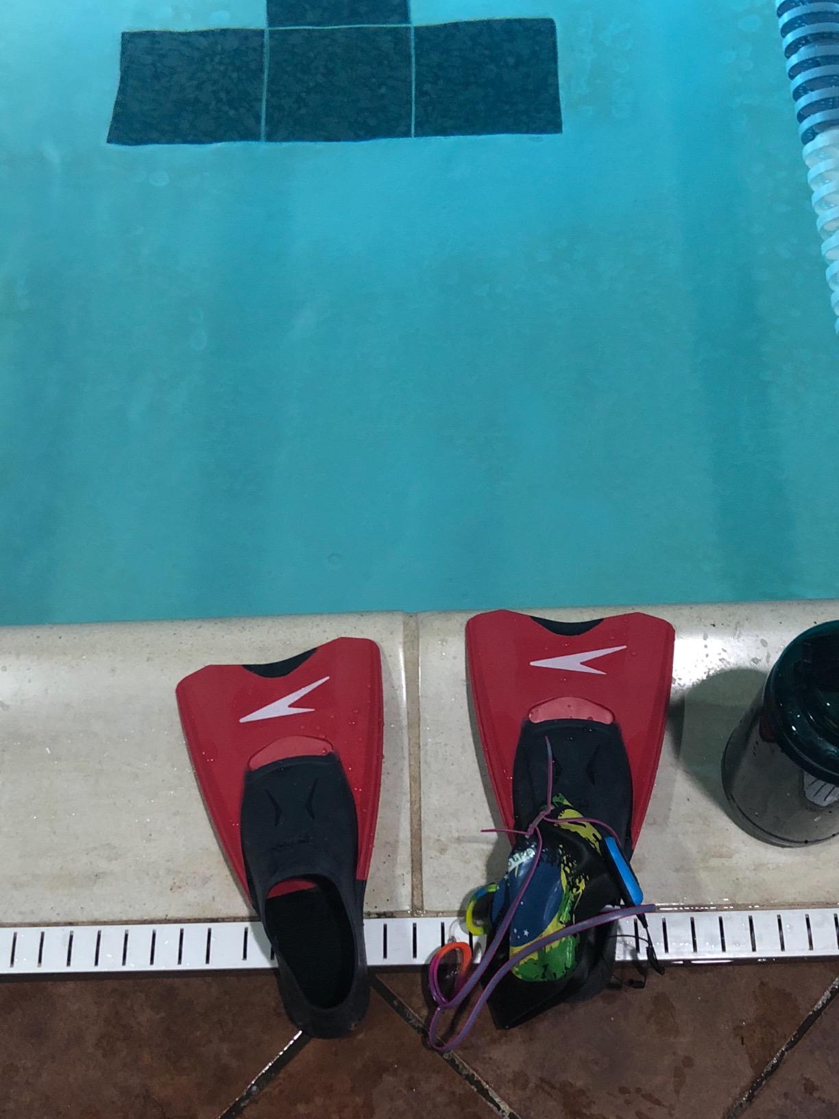 Speedo Unisex Adult Swim Training Fin Switchblade customer photo 2
