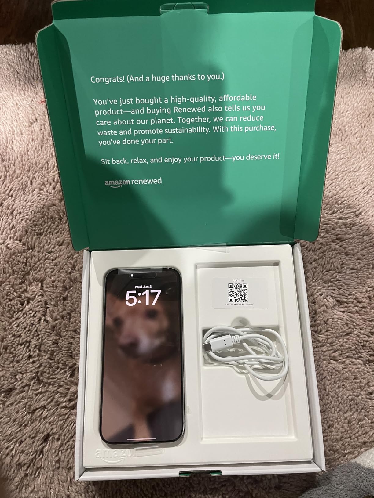 Apple iPhone (Renewed Premium) 16 Pro Max, US Version, 256GB, Desert Titanium - Unlocked customer photo 1