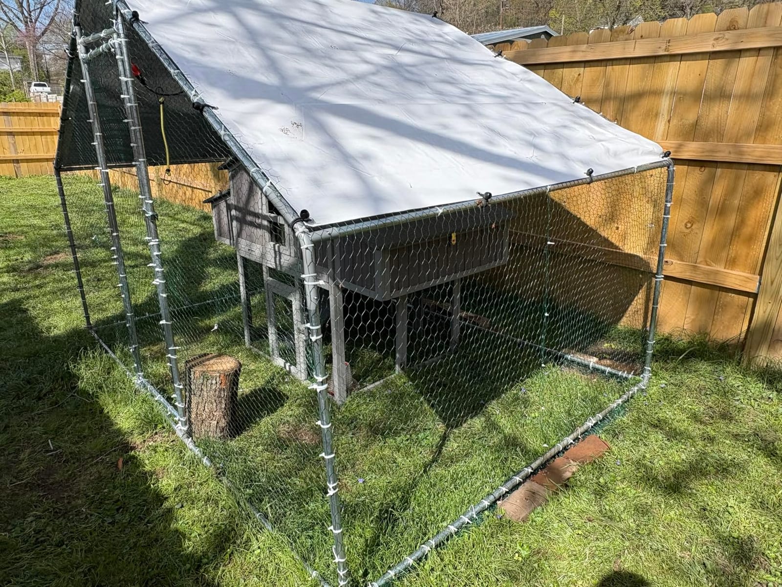Large Chicken Coop - Unique Folding Design for Easy to Set Up - Chicken House for Outdoor with Two Nesting Box, Leakproof Pull-on Tray, and UV-Resistant Roof Panel customer photo 2