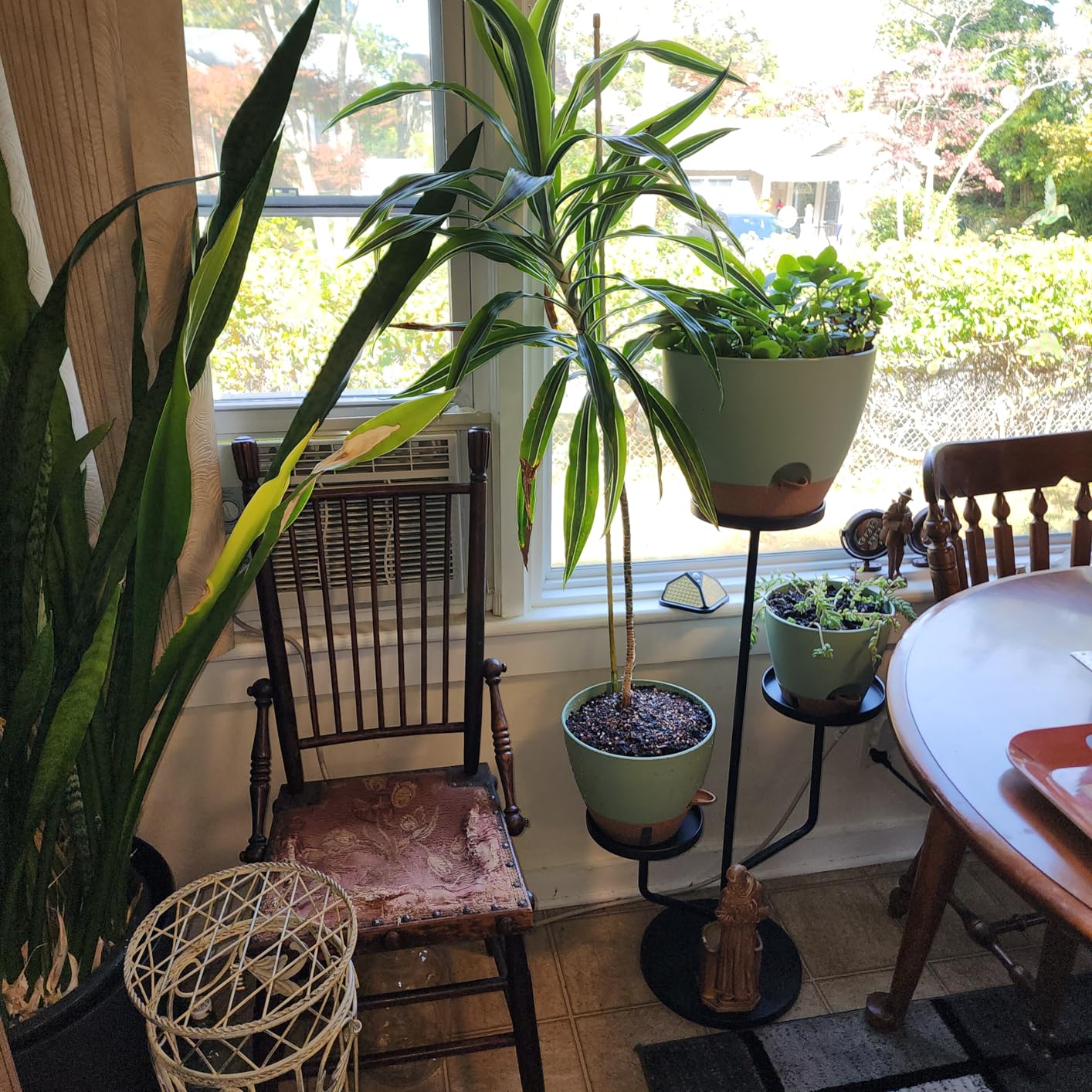 8/10/12 Inch Self Watering Pots for Indoor/Outdoor Plants customer photo 2