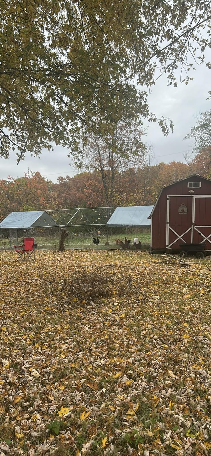PawHut Large Chicken Coop w/Waterproof Anti-UV Cover 33' x 10' x 6.4' customer photo 1