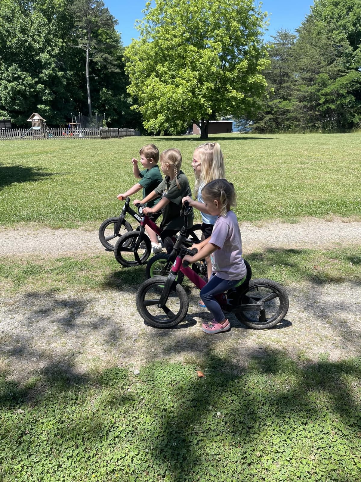 Ridego 14 Inch Balance Bike for Kids 3-6 Year Old,Lightweight Kids Bike with Adjustable Seat, Push Bicycle with Air Rubber Tires,Ride-on Toys Birthday Gift customer photo 2