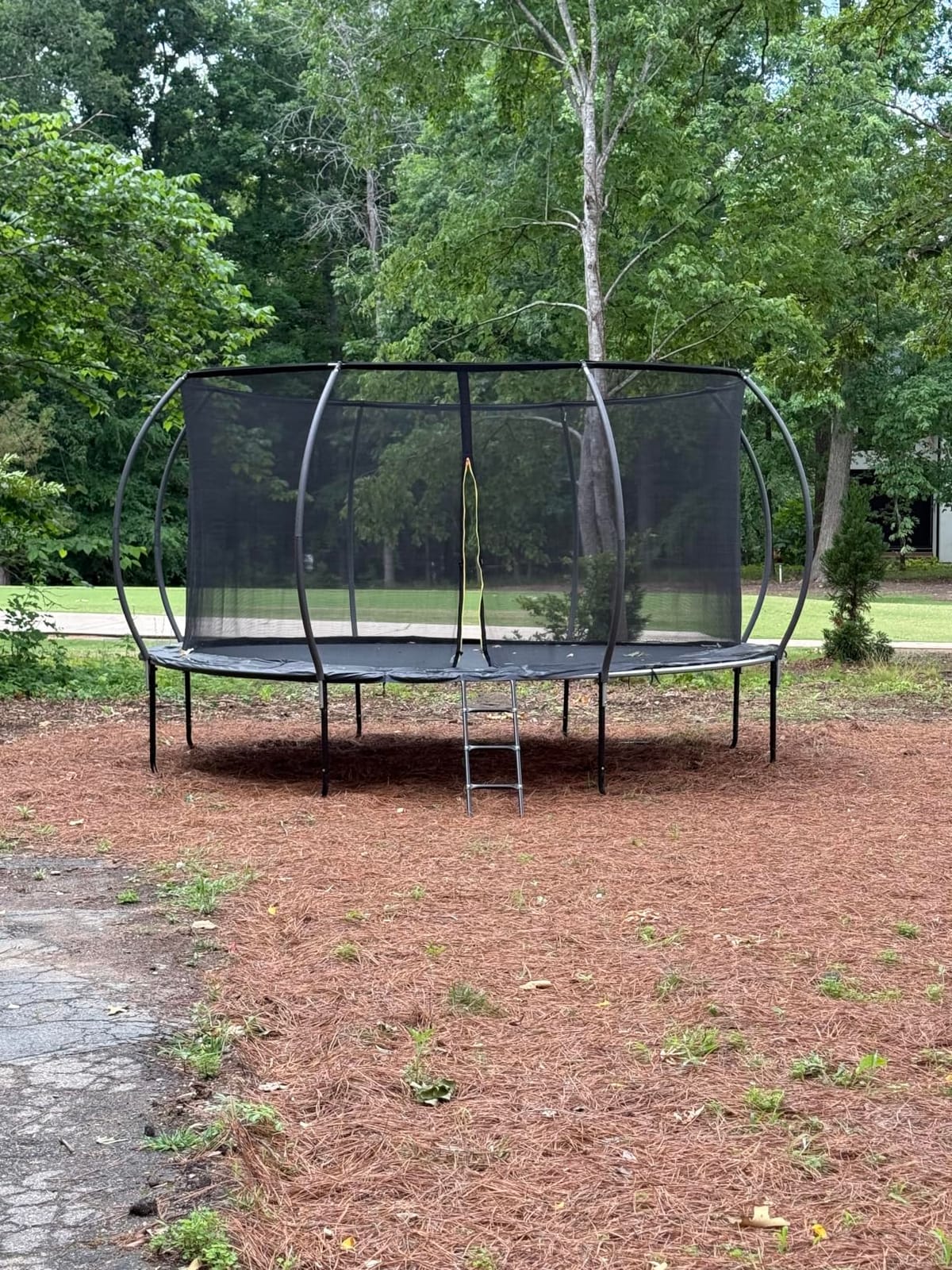 Gigu 10FT 12FT 14FT 15FT 16FT Recreational Trampolines with Enclosure Net and Ladder and Anti-Rust Coating, ASTM Approved Trampoline Outdoor for Kids and Adults customer photo 1