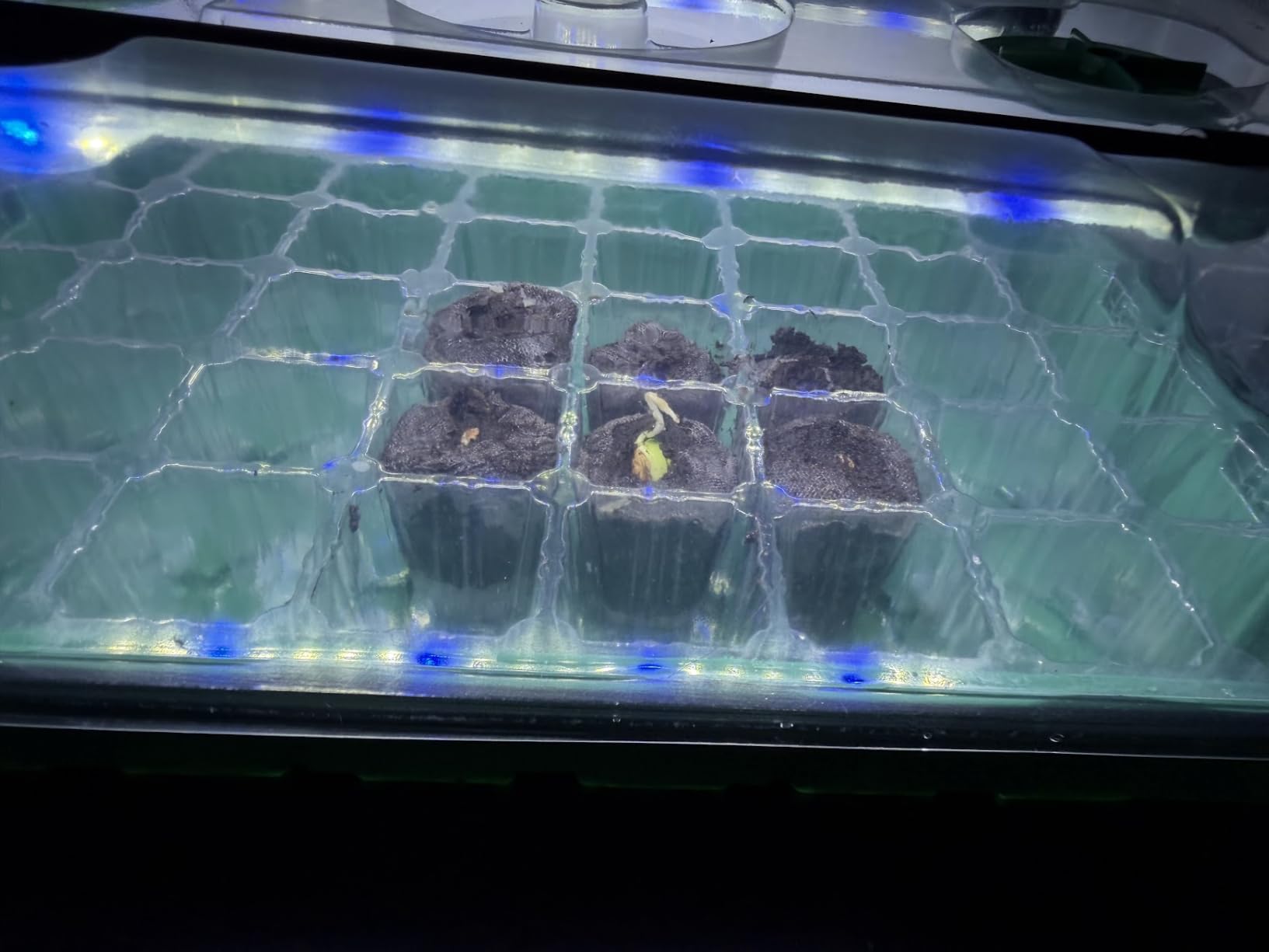 Sondiko Seed Starter Tray with Grow Light, Display Digital Controller customer photo 2