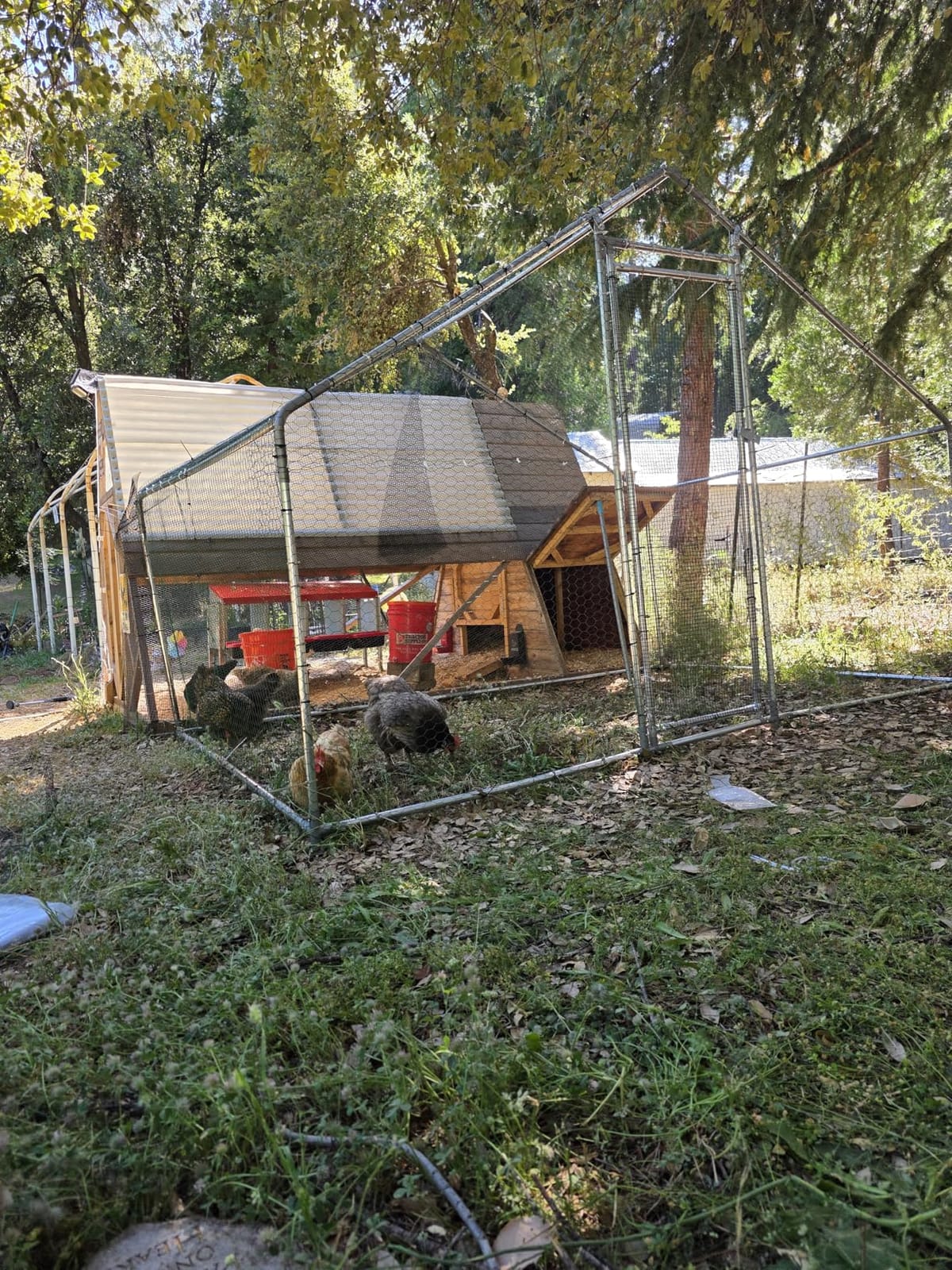 VEVOR Metal Chicken Coop, 6.56x6.56x6.56ft Large Walk-in Chicken Run with Cover, Spire Roof Hen House Enclosure with Security Lock, Outdoor Duck Rabbit Cage, Poultry Pen for Backyard, Farm, Yard customer photo 1