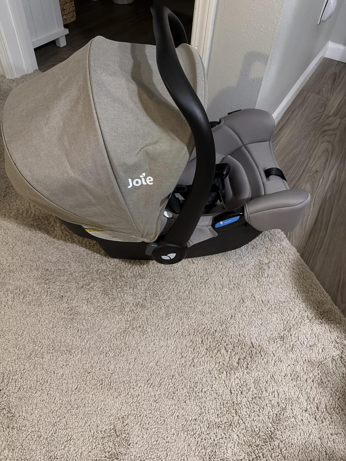 Joie Baby Rue Infant Car Seat & Anti-Rebound Base, Lightweight customer photo 2