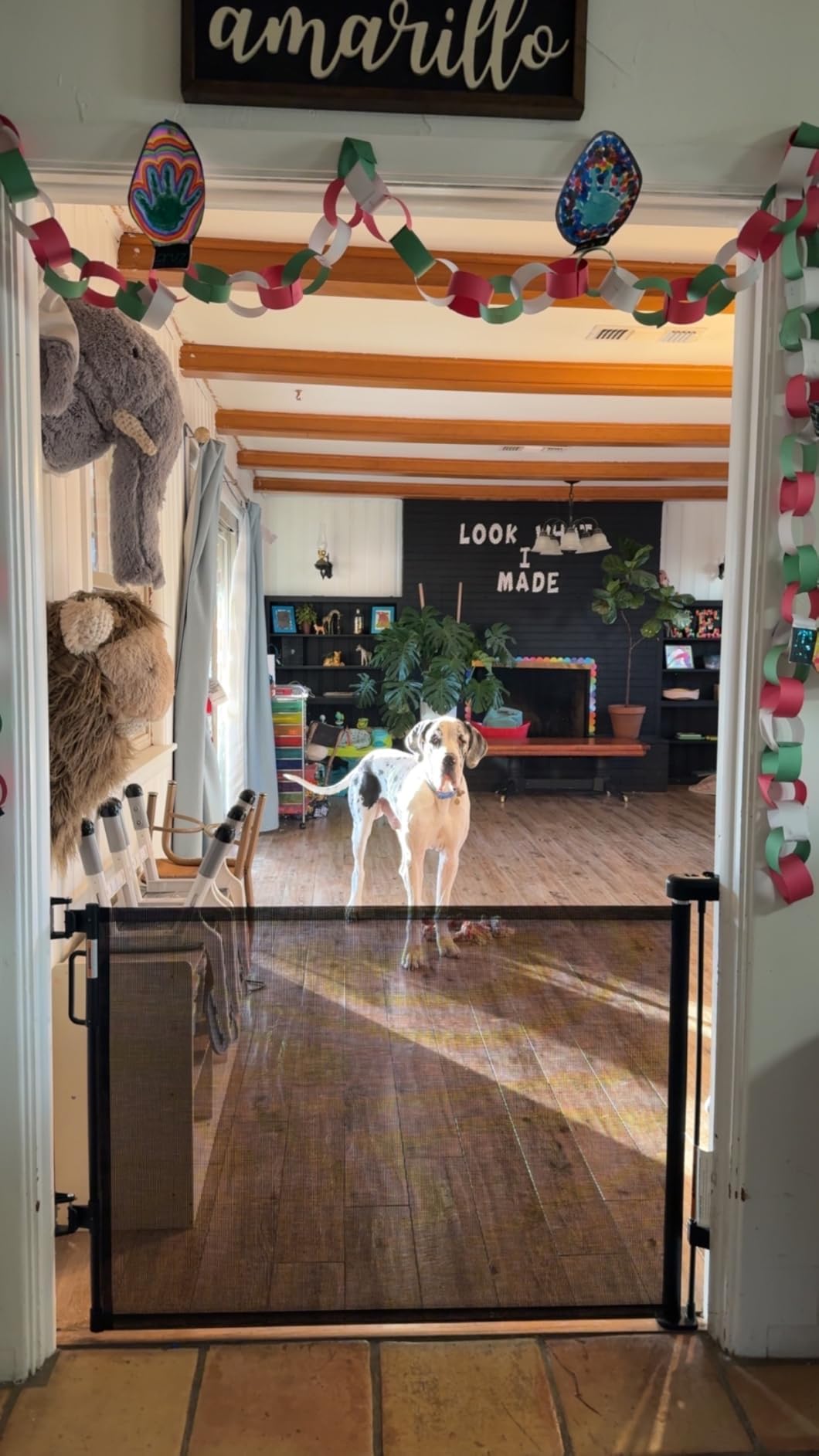 Retractable Baby Gate for Stairs & Doorways, Dog Gate Indoor Outdoor customer photo 2