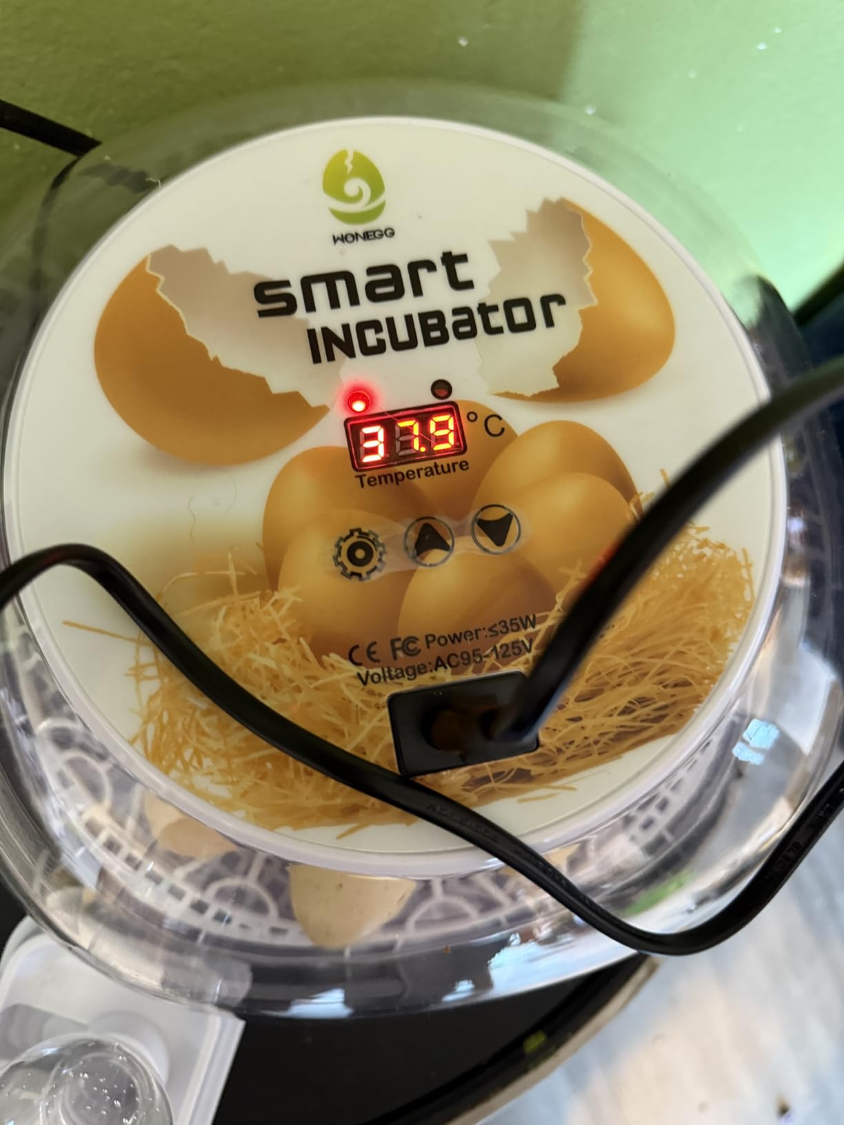Incubators for Hatching Eggs Quail Egg Incubator 12 Eggs with Automatic Egg Turning and Humidity Control 360° Viewing for Chicken, Ducks, Goose, Pigeon for Lab Farm and Home customer photo 2