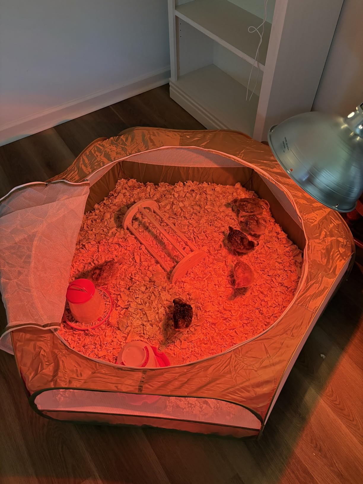 Pawaboo Chick Brooder Box for Chick Starter Kit, Red+Black customer photo 2