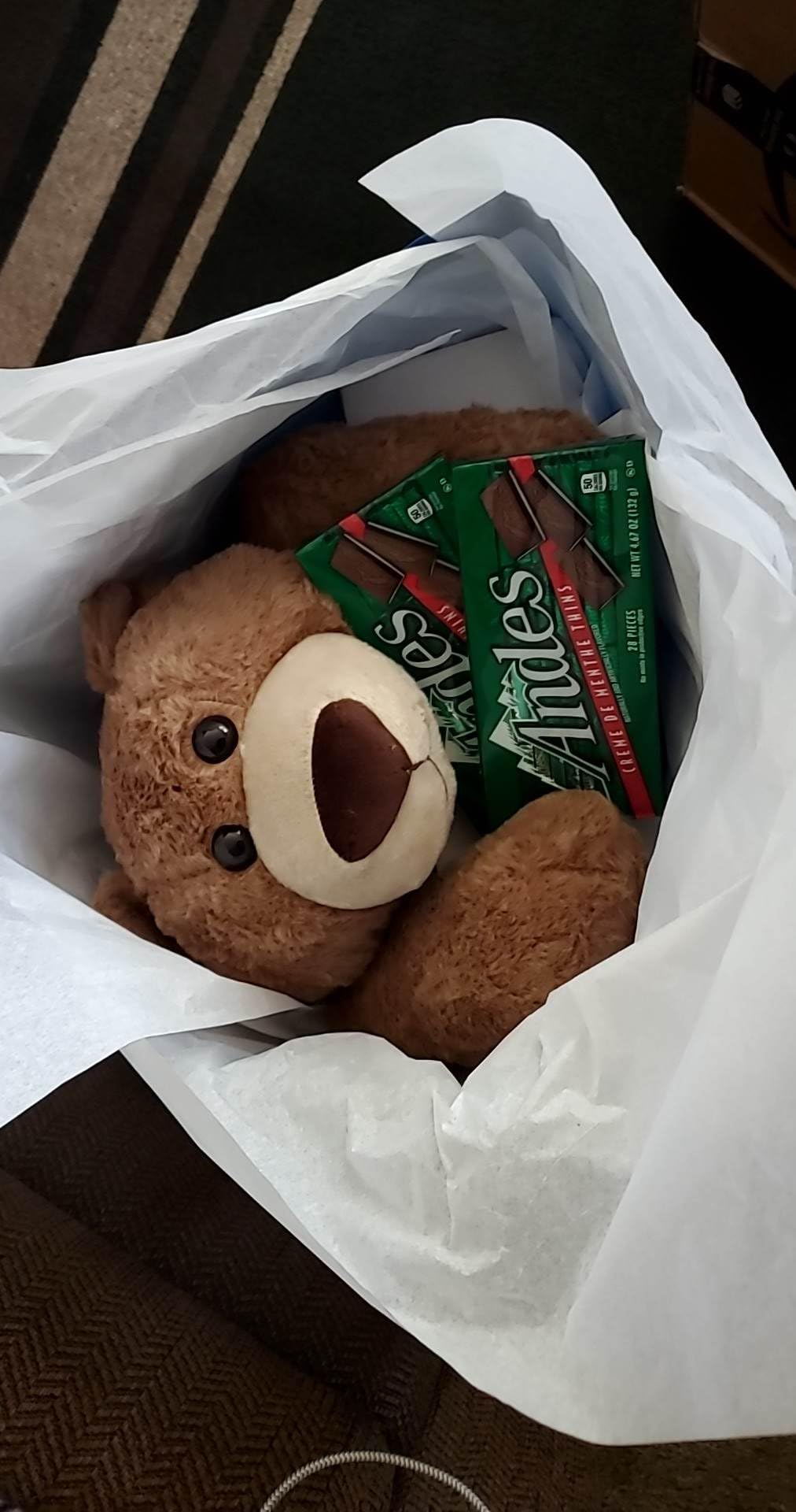 CSVBTRF Weighted Stuffed Animals, 4.1 lbs 18
