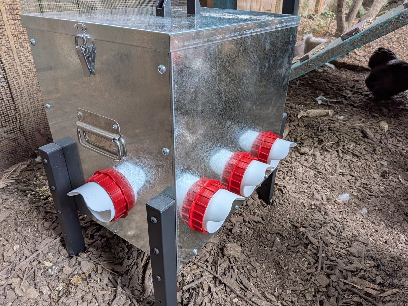 100LB Automatic Chicken Feeder with Cover – Large Capacity Metal Chicken Coop Feeder with 12 Feed Ports, Adjustable Legs Rainproof No Waste Outdoor Poultry Feeder for Hens & Free Range Flocks customer photo 2