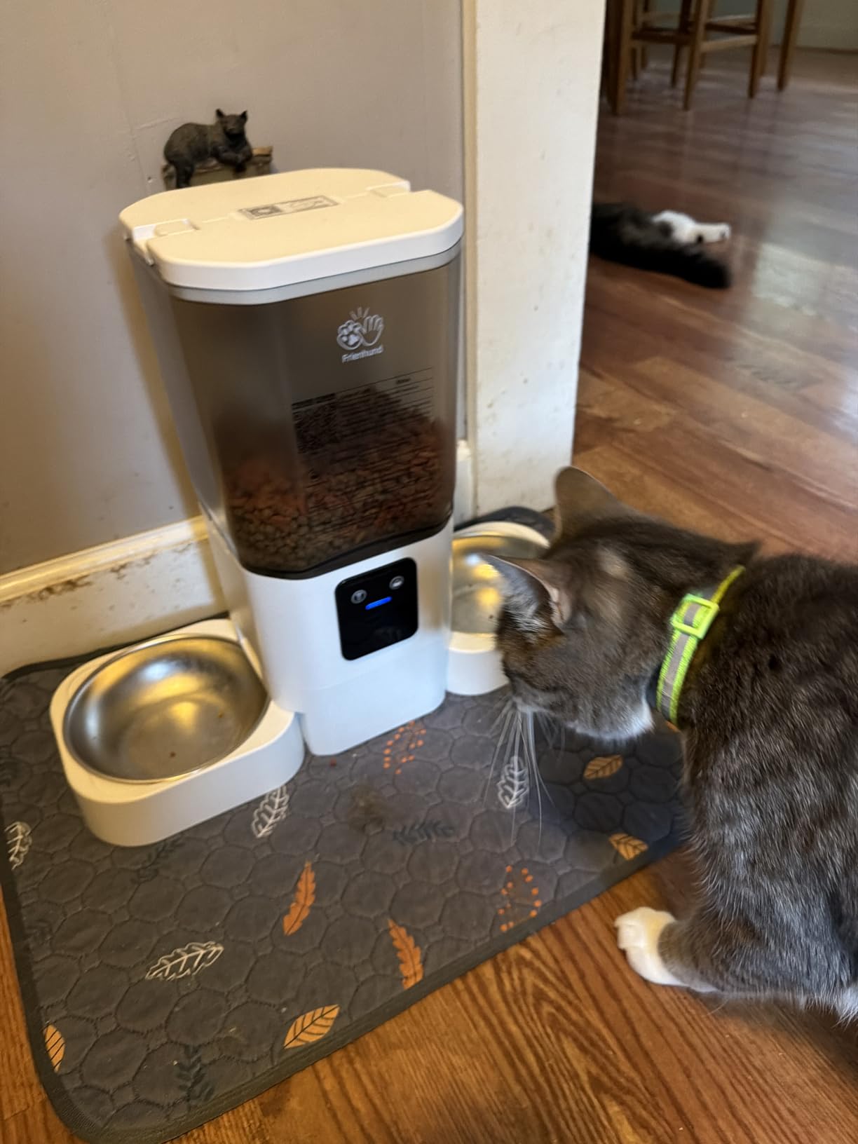 Frienhund Automatic Cat Feeder with Two 1080P Camera for 2 Cats: 7L Automatic Dog Feeder with Night Vision & Slow Feed, 5G WiFi Auto Cat Food Dispenser for Multiple Pet,Detachable for Clean(ACF180W-C) customer photo 1