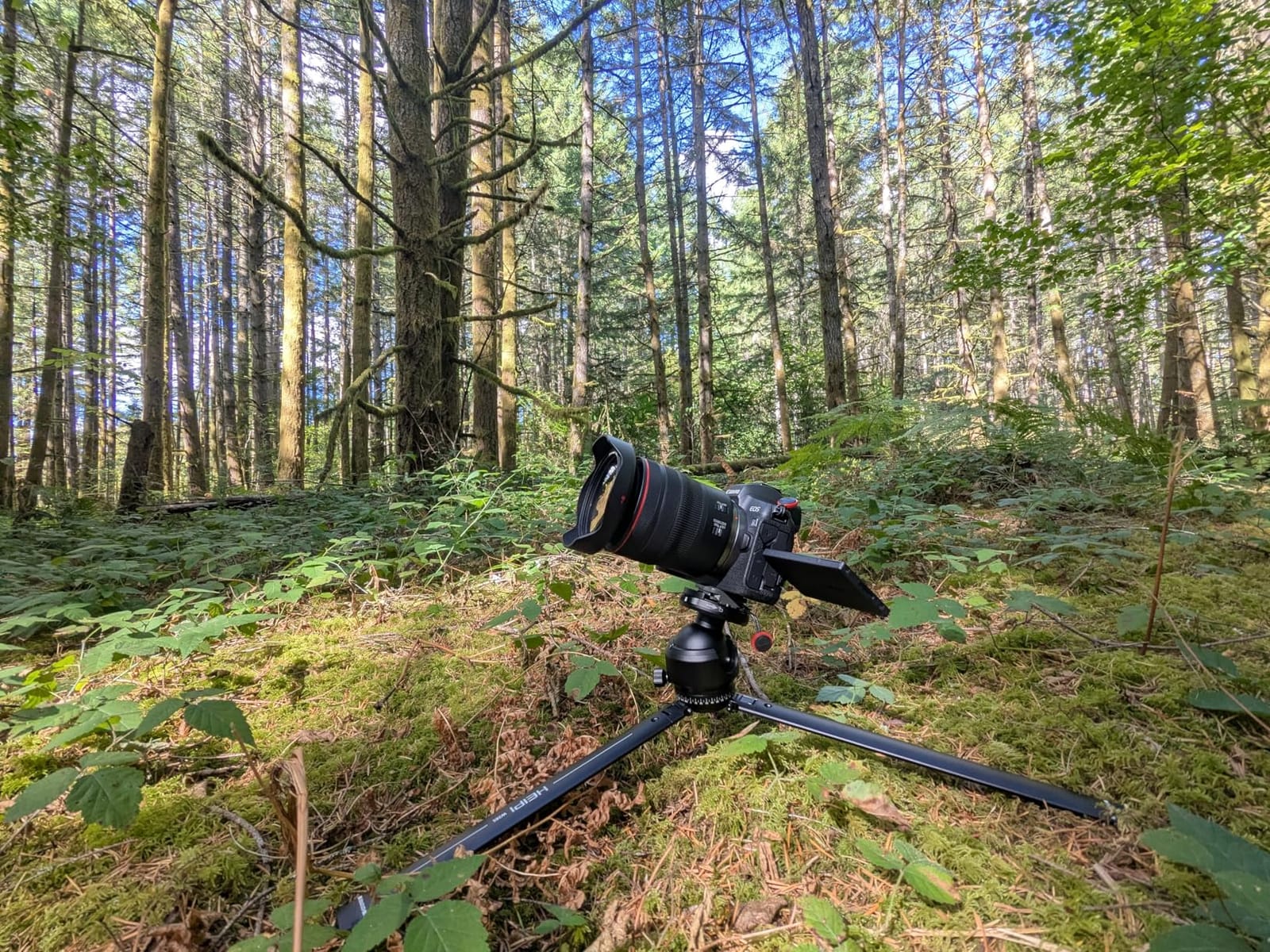 HEIPI Camera Tripod Carbon Fiber Travel Tripod with Arca-Swiss W28S customer photo 1