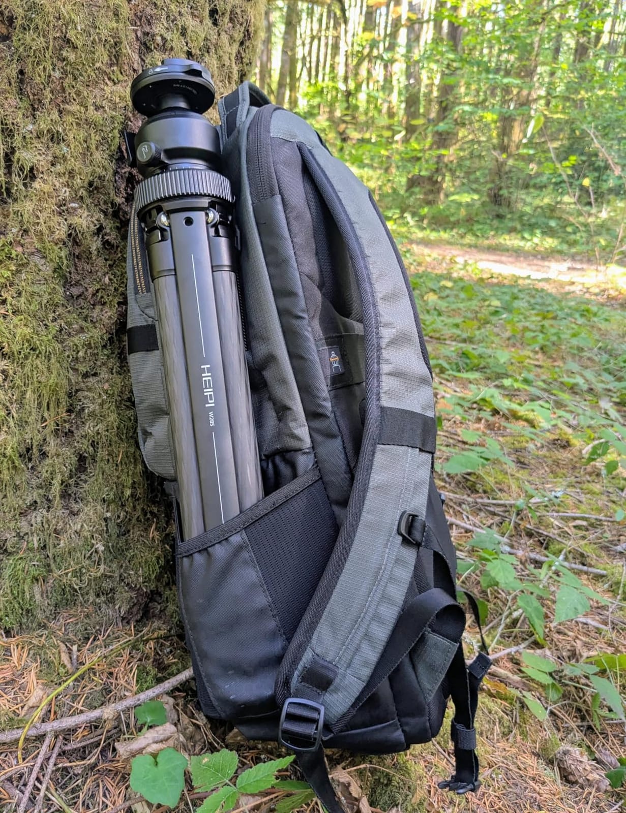 HEIPI Camera Tripod Carbon Fiber Travel Tripod with Arca-Swiss W28S customer photo 2
