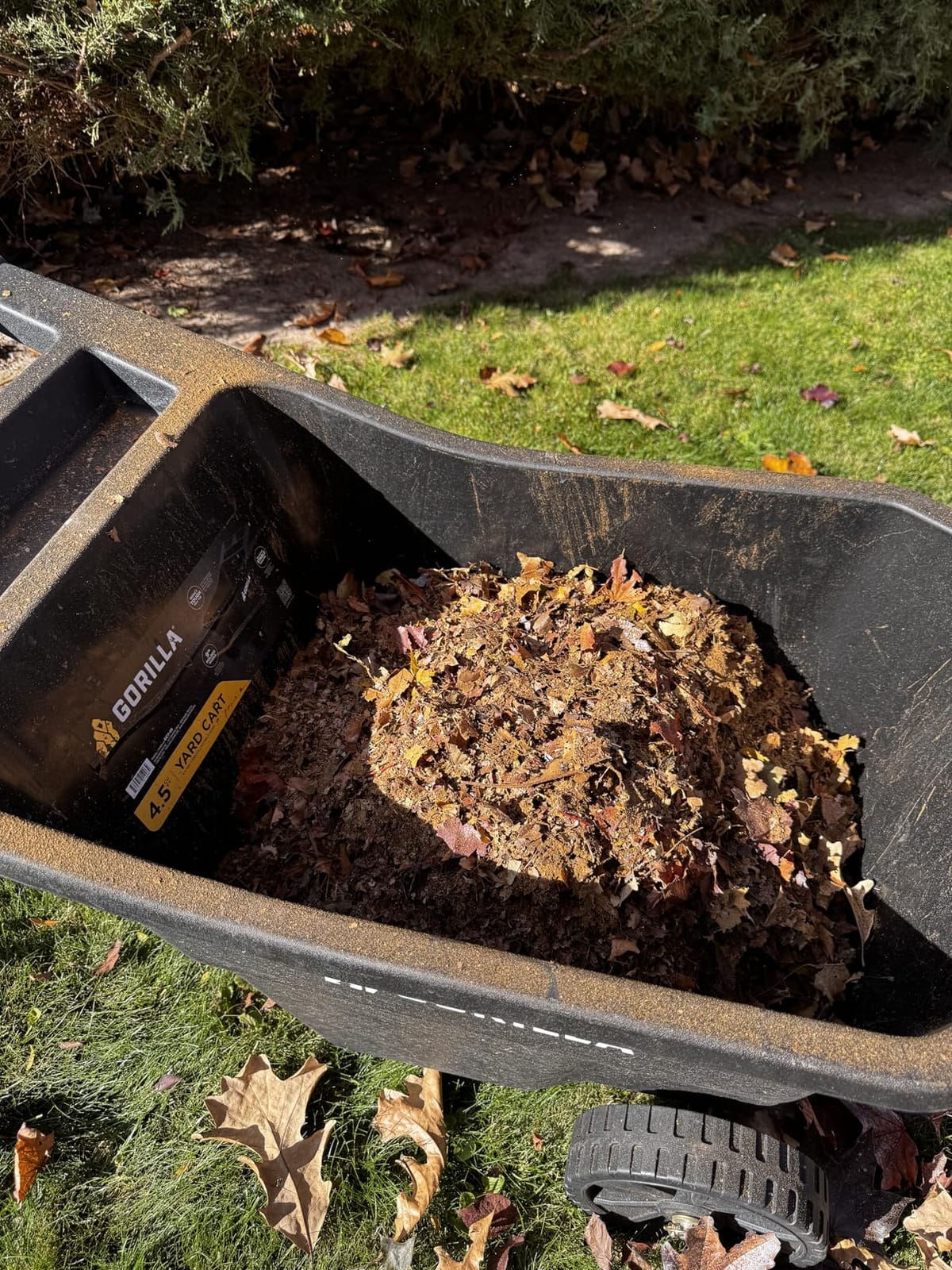 Electric Leaf Mulcher/Shredder: DEKOPRO 15-Amp 8200RPM Motor for 17:1 Reduction Ratio, Adjustable Control Dia with Leaf Scoops Spade, Collection Bag & 20 Cutting Lines customer photo 1