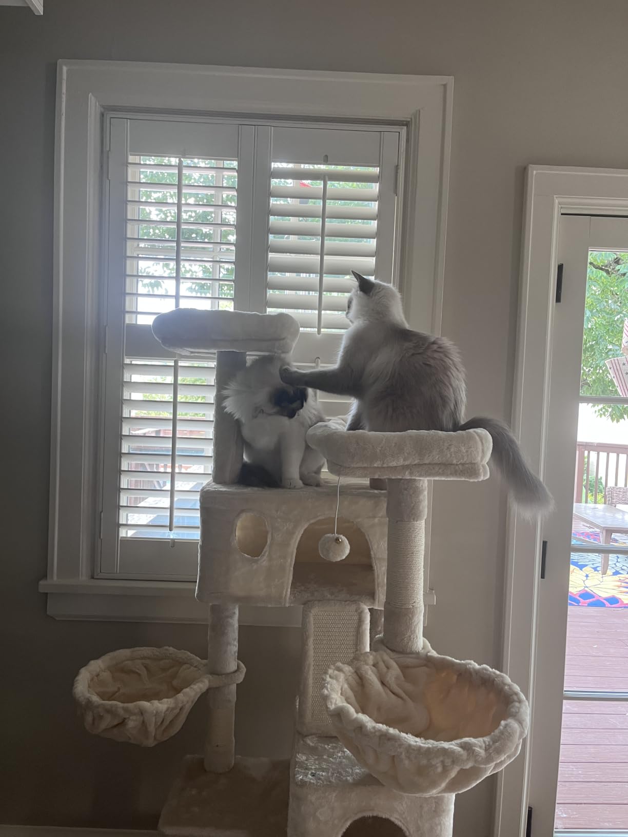 SHA CERLIN 65in Larger Cat Tree Tower Condo for Indoor Kitties/Multi-Level Furniture Activity Center with Wide Base/Cozy Plush Cat Perches/Baskets/Sisal Scratching Posts and Hammock/Leopard Print customer photo 1