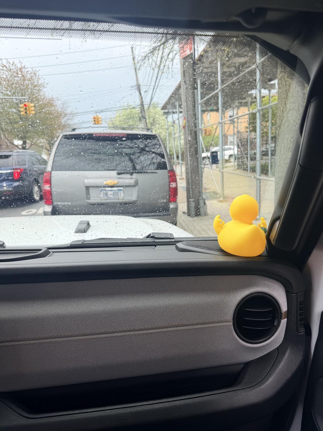 Funny Rubber Duck – Hilarious Decorative Duck for Bathroom, Jeep, Desk, or Gag Gift – Quirky Collectible with Sarcastic Quote – Great Gift for Adults, Coworkers, or Friends-Document It customer photo 1
