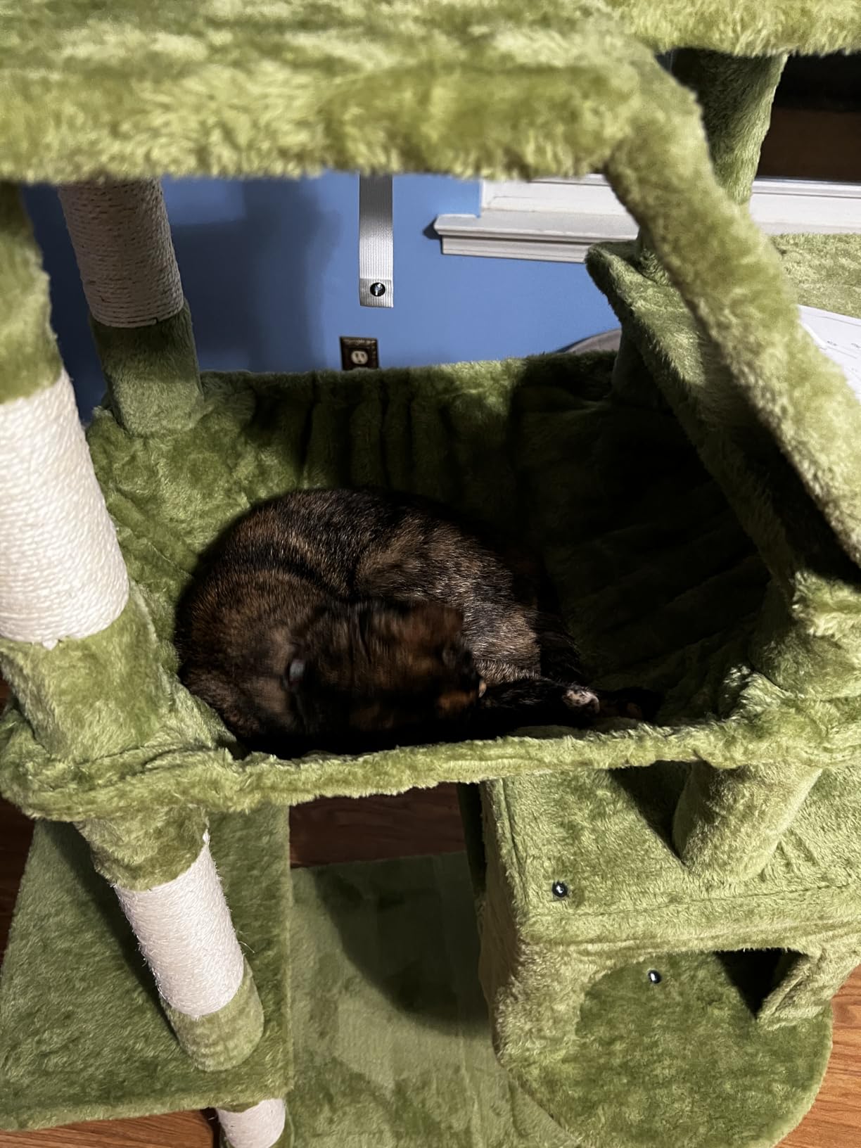 Heybly Tall Cat Tree for Large Cat, 75.2-inch Multi-Level Cat Tower HCT038G customer photo 1