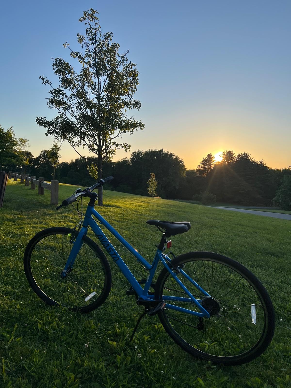 AVASTA Populus 700C Road Bike for Women with Kickstand, 15 17 Inch Lightweight Step Through Aluminum Alloy Frame, 7-Speed Drivetrain, Multiple Colors customer photo 2