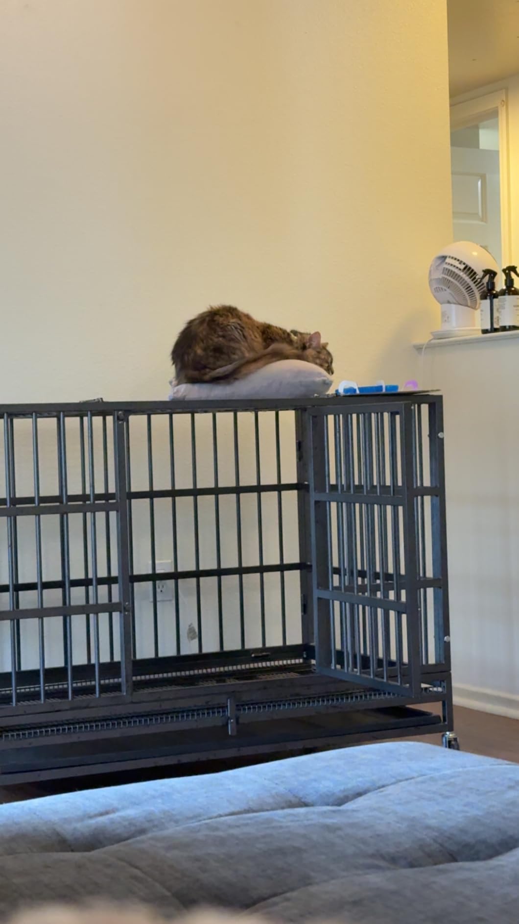 LEMBERI 48 inch Heavy Duty Indestructible Dog Crate, High Anxiety Extra Large Dog Cage for Large Dogs, XL Steel Escape Proof Dog Kennel with Wheels and Removable Tray (Black, 47.2 * 30.7 * 34.6 inch) customer photo 2