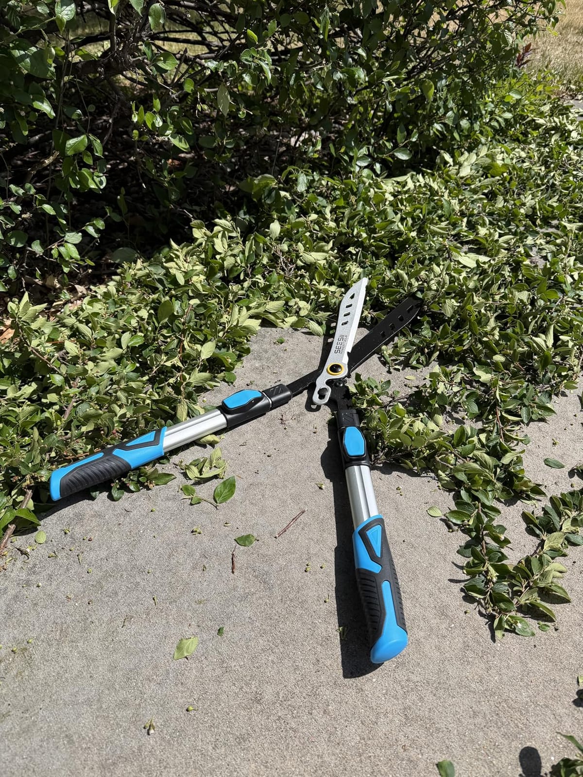 SEESII 20V Pole Hedge Trimmer Cordless, 20