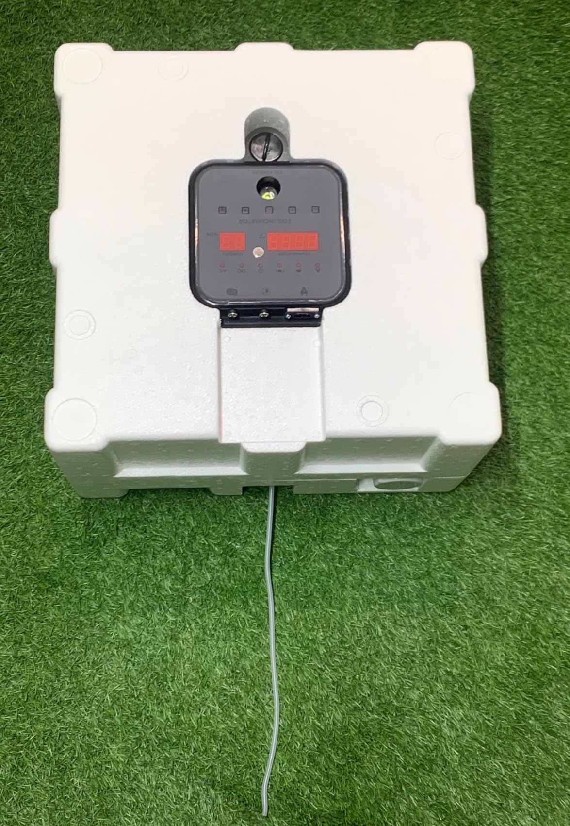CoInceptus 35 Chicken Egg Incubator, Quail Incubator with Humidity Control customer photo 1