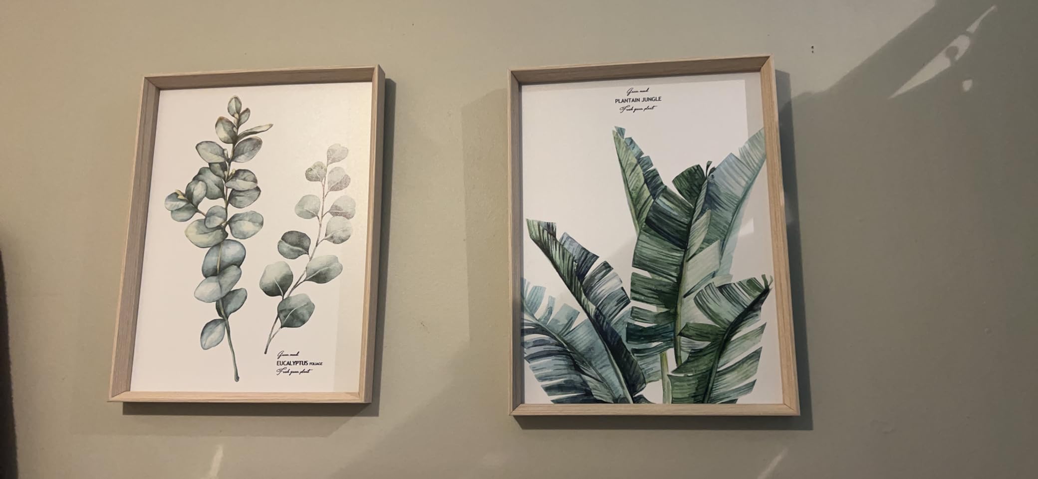 HesenDot Abstract Botanical Wall Art Set of 3, 30x40CM Neutral Plant Framed Canvas Prints, Beige Green Boho Aesthetic Wall Decor for Living Room Bedroom Bathroom Office Home customer photo 1