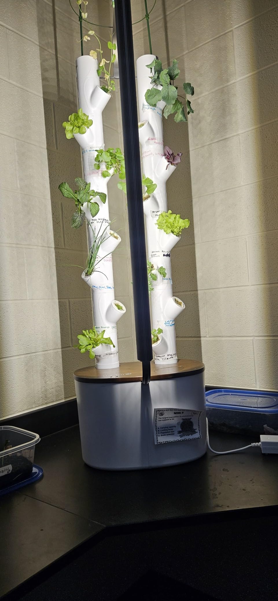 Gardyn Studio 2 Hydroponics Growing System - 16 Plants, Smart Tower customer photo 2