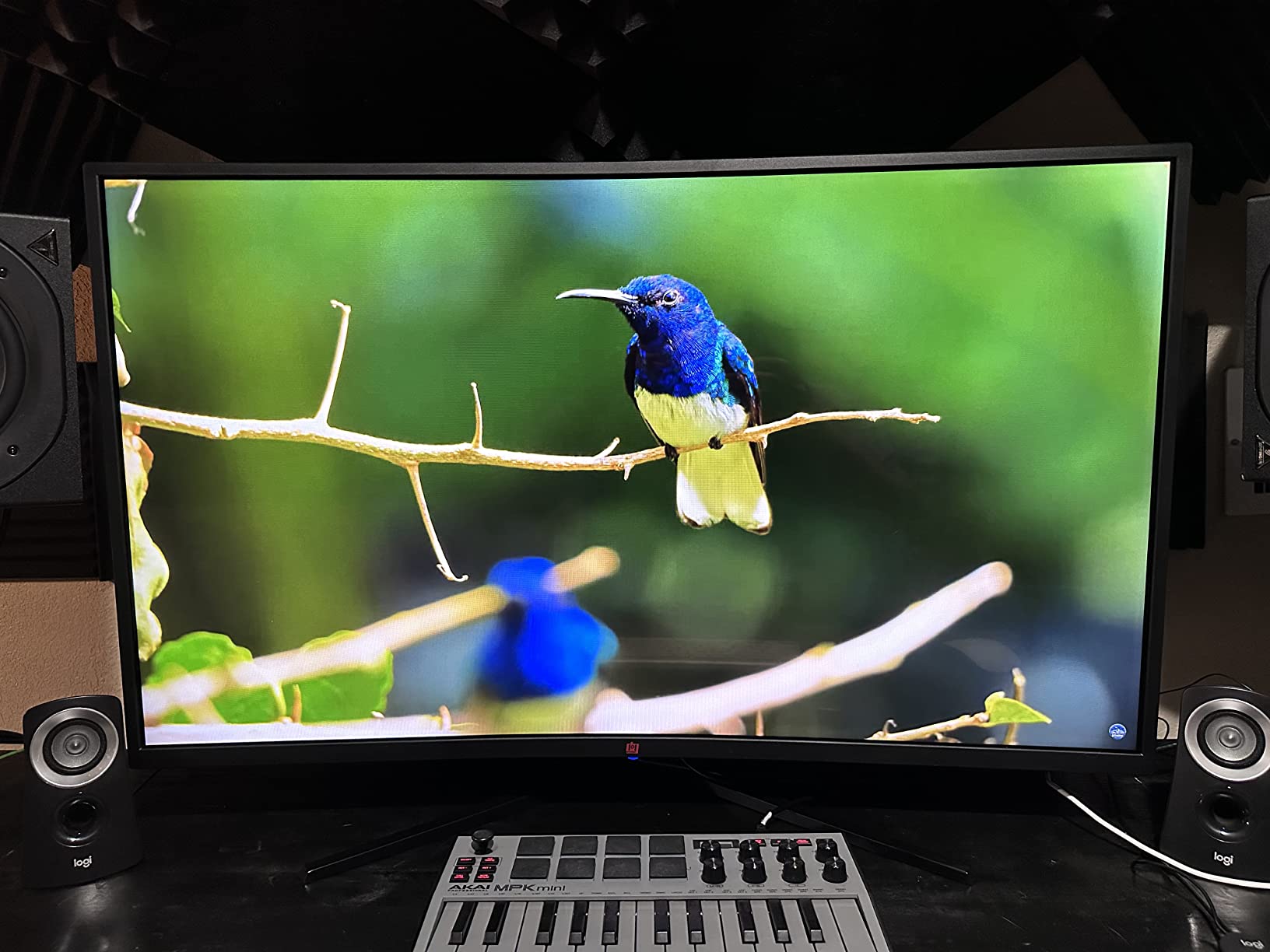 Deco Gear 40 Curved 5K2K Nano IPS Monitor | 5120x2160 UltraWide 21:9 Display, 120 Hz Refresh | 65 W USB-C PD | HDR, Adaptive Sync | Built-in Speakers for Work customer photo 2