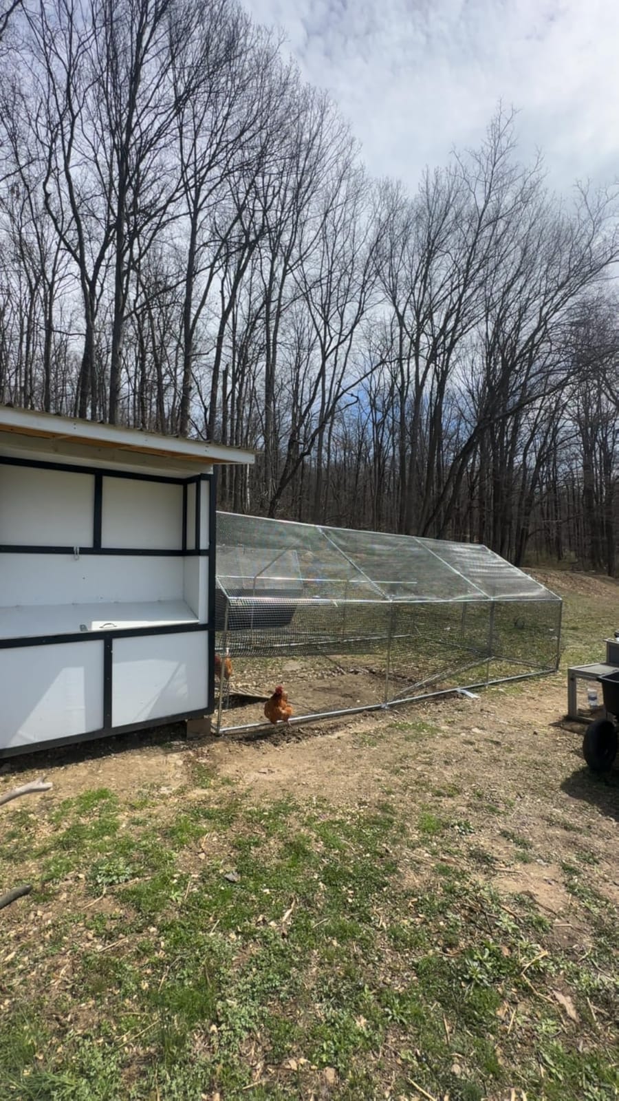 CAMMOO Walk in Chicken Coop, 9.8x6.6x6.6ft Chicken Run for Yard with Cover customer photo 1