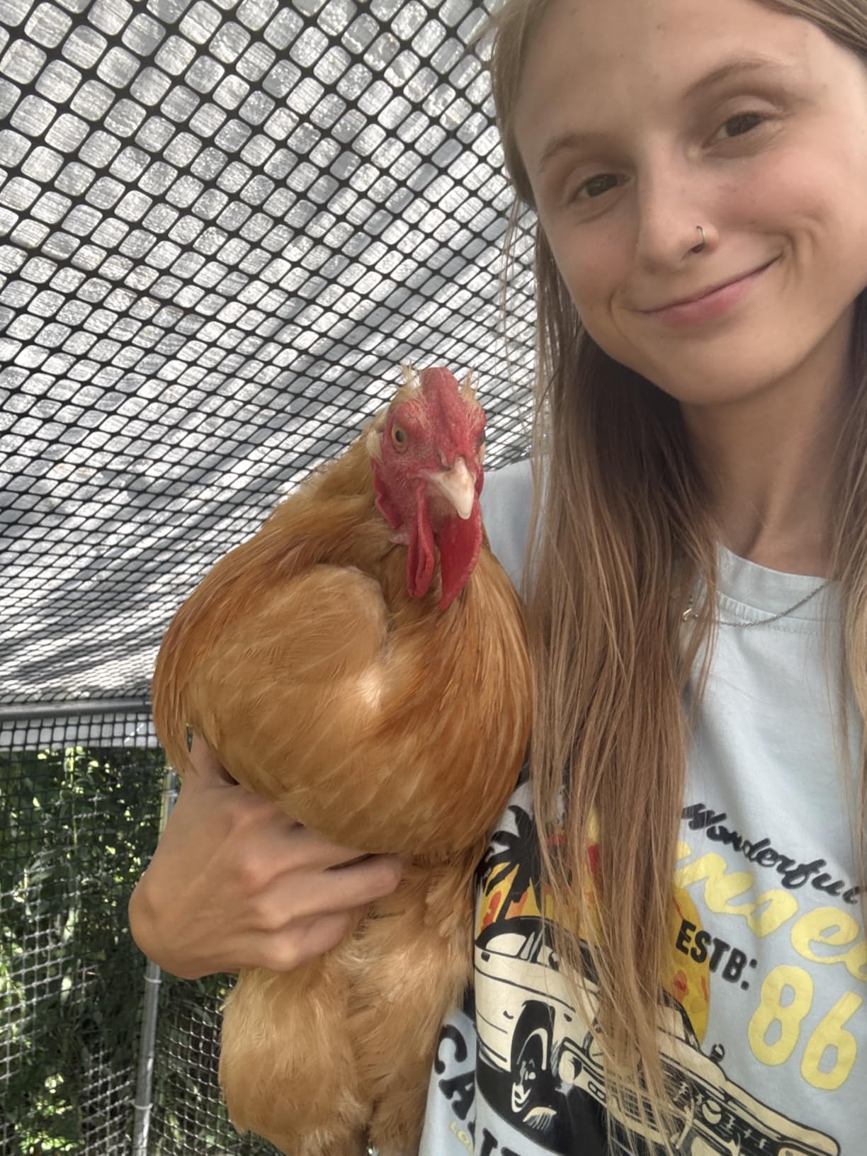 CAMMOO Walk in Chicken Coop, 9.8x6.6x6.6ft Chicken Run for Yard with Cover customer photo 2