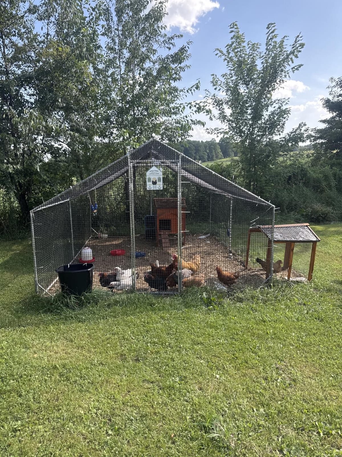 CAMMOO Walk in Chicken Coop, 13.1x9.8x6.6ft Chicken Run for Yard with Cover customer photo 2