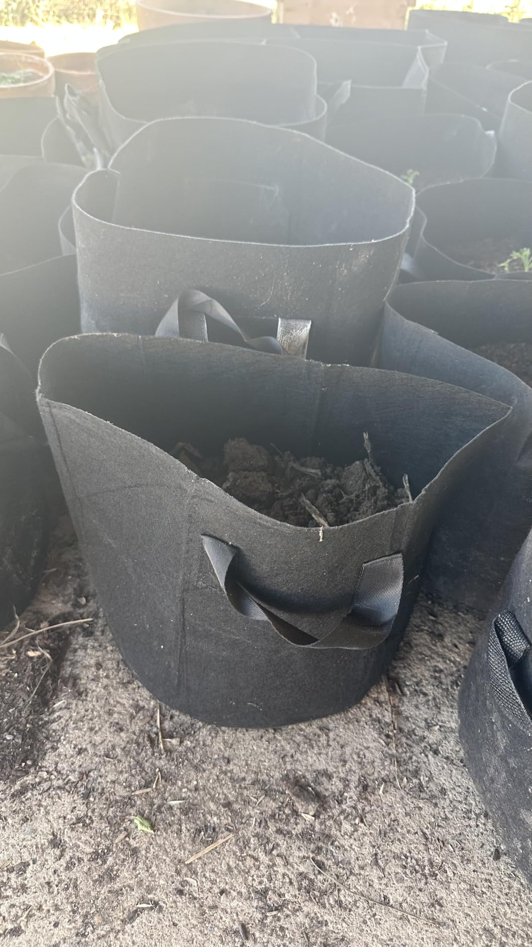 FEED GARDEN 5 Gallon Grow Bags 4 Pack 300G Thickened Non-Woven Fabric Pots Double-Stitched Handles, Foldable Breathable Drainage Planters for Herbs, Lettuce, Strawberries & Flowers, Indoor Outdoor customer photo 2