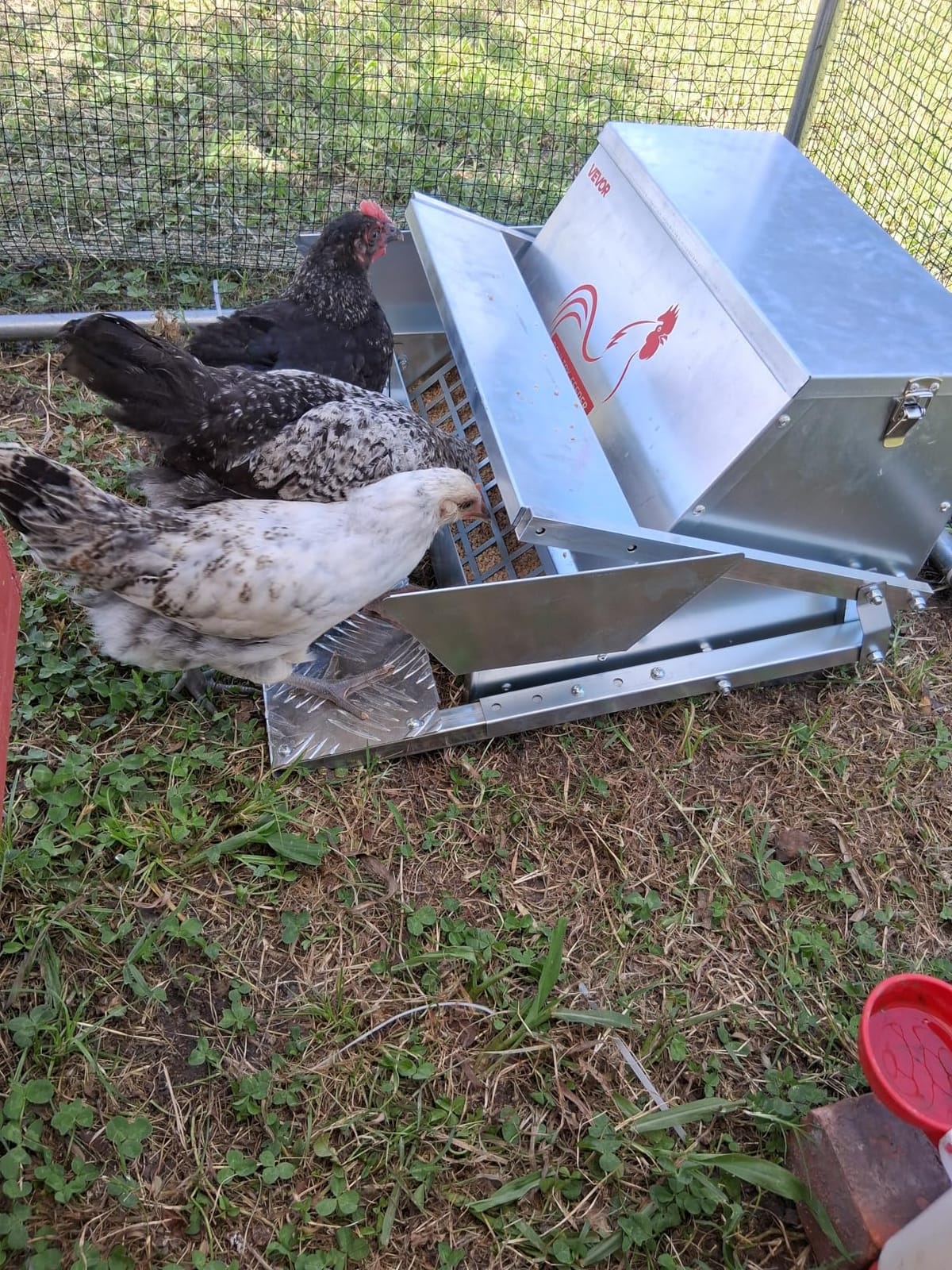 VEVOR Automatic Chicken Feeder, 40 lbs Capacity, Rainproof Treadle Poultry Feeder with Lockable Lid, No Waste, Galvanized Steel Construction, Outdoor Use, for Chicken, Bantams, Poultry, Pheasants customer photo 1