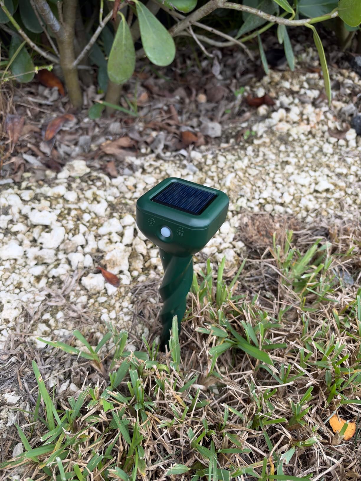 Mole Repellent Solar Powered, 4 Pack Snake & Skunk Repellent for Yard, IP 65 Waterproof Ultrasonic Deterrent Stakes, Get Rid of Rabbit, Gopher, Vole, Chipmunk, Deer, Groundhog for Lawns Garden customer photo 2