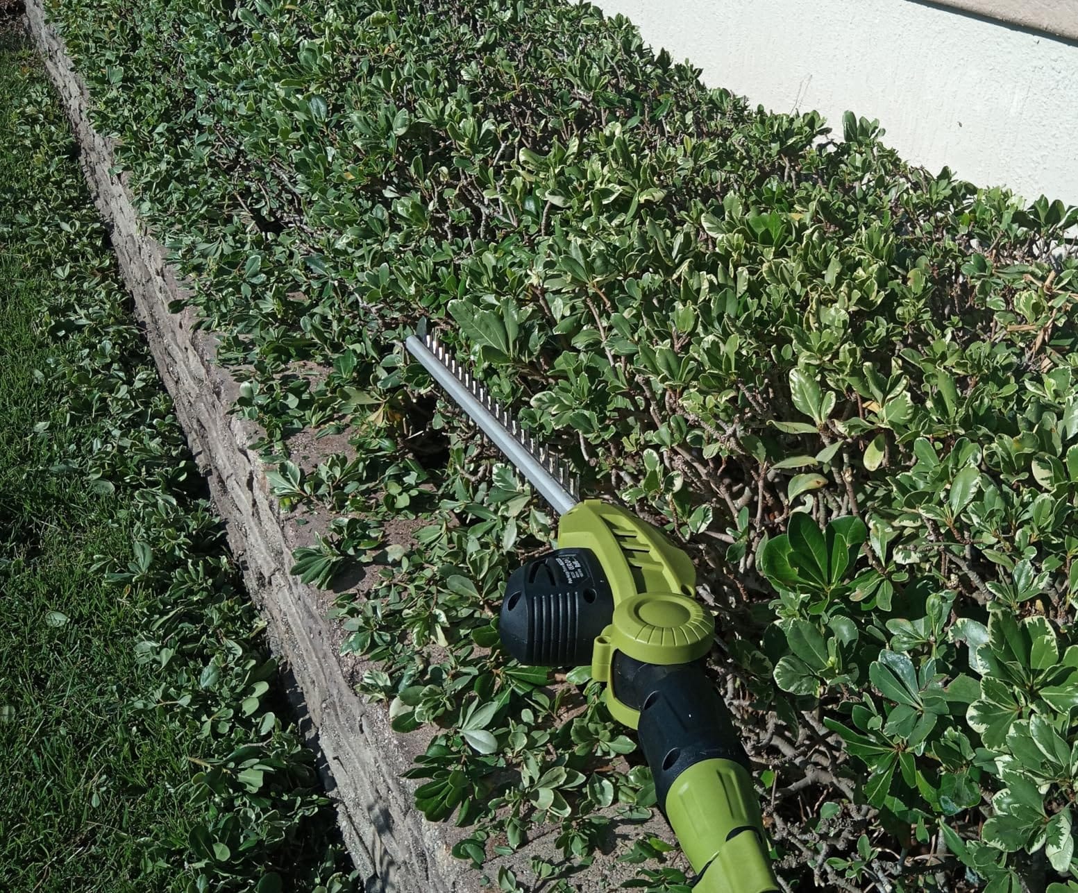 SEYVUM 20V Cordless Pole Hedge Trimmer, Bush & Shrub Cutter, 20-Inch Blade customer photo 2