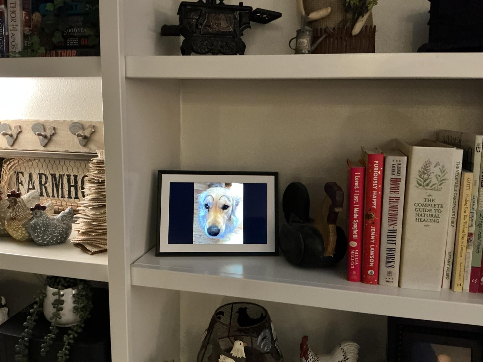 Aura HD Digital Picture Frame | Carver: The Best Frame for Gifting (Black, 10