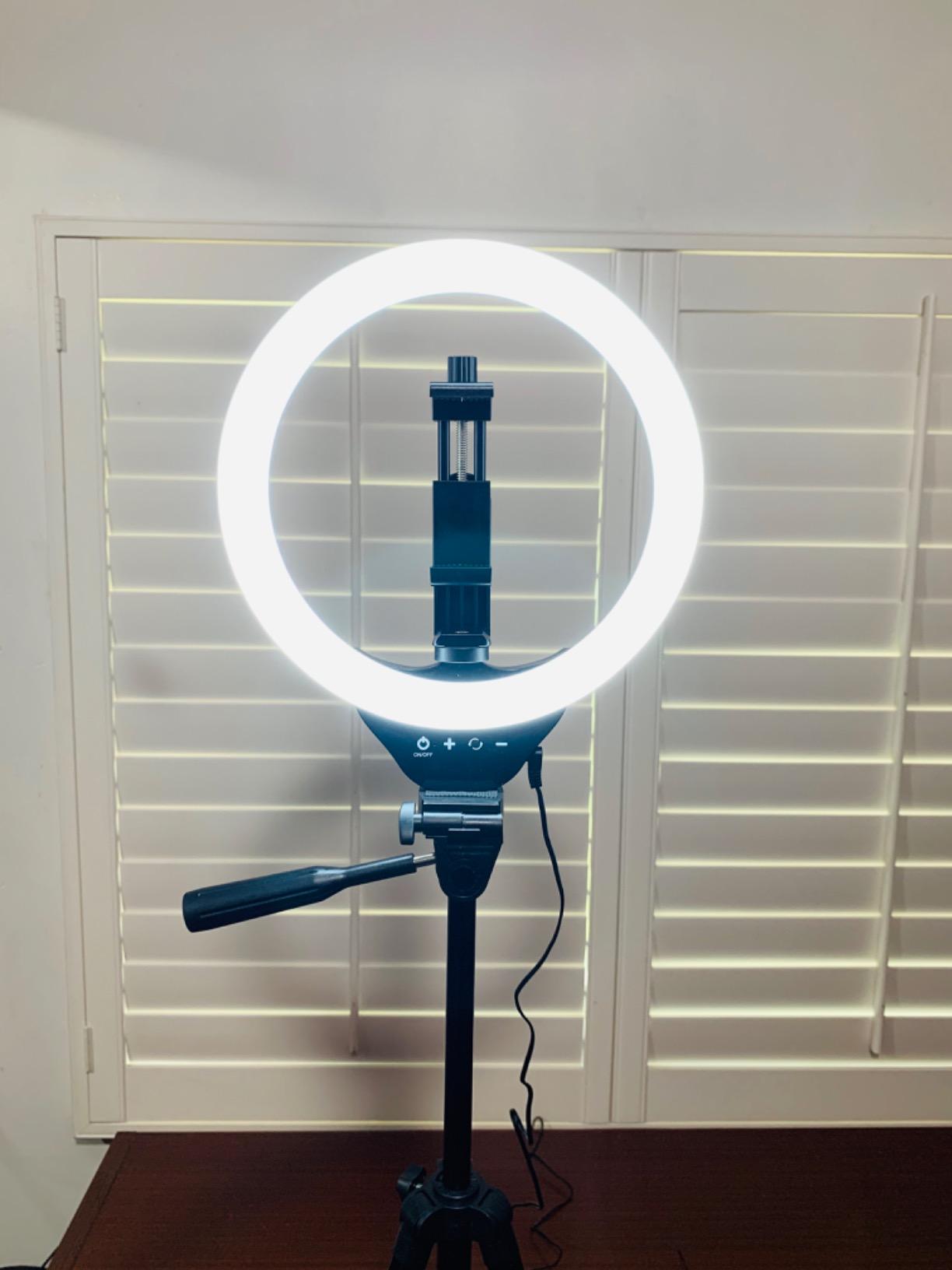 Torjim 12 Inch Video Light Kit for Creators | 30W High Brightness | Studio Lights with Tripod Stand & Phone Holder customer photo 1