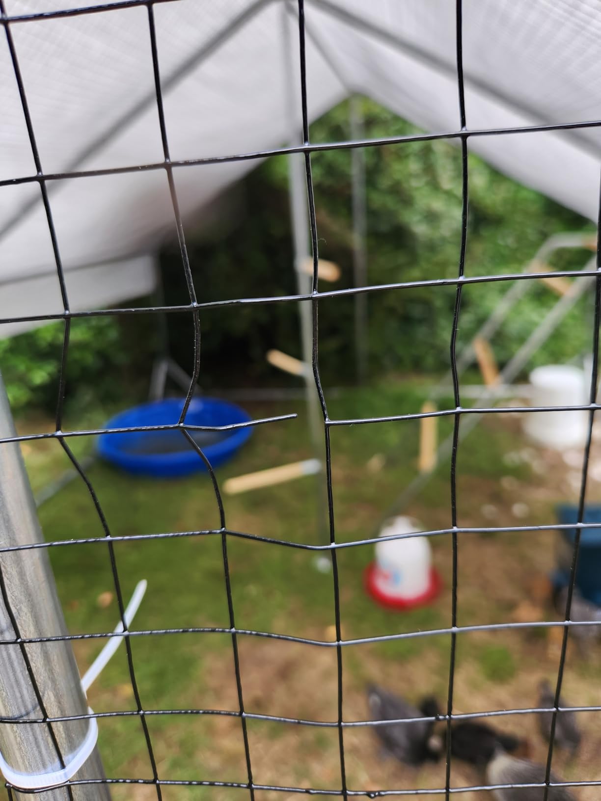 Metal Chicken Coop with Hardware Cloth, Walk-in Poultry Cage for Hen Duck customer photo 1