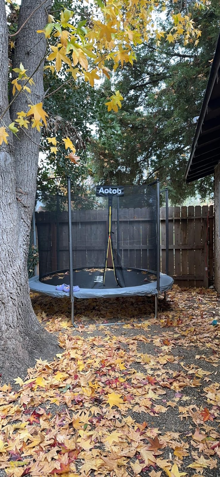 AOTOB 12 FT/14 FT Rectangle Trampoline with Net customer photo 1
