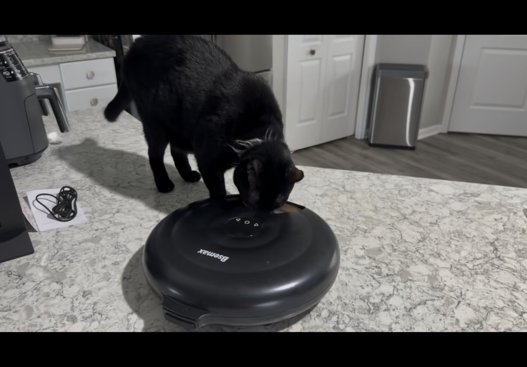 6 Meal Automatic Wet Food Cat Feeder for with Stainless Steel Tray (White) customer photo 1
