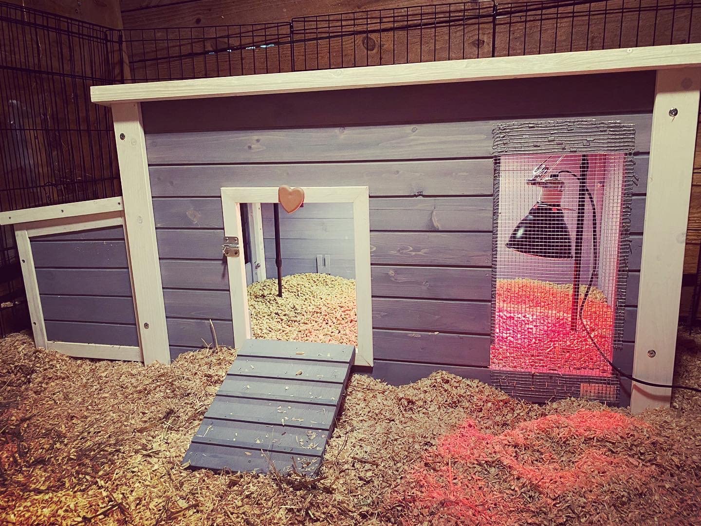 Petsfit Outdoor Chicken Coop with Run for 4-6 Chickens, 3 Nesting Boxes customer photo 1