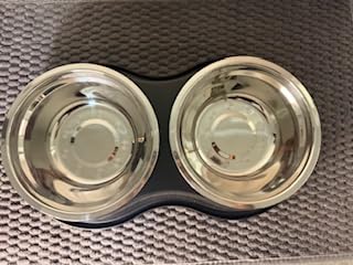 Automatic Wet Food Cat Feeder, 3 Days 5 Freshness Meals Refrigerated Auto Cat Feeder, Semiconductor Cooling & Heating with 304 Stainless Steel Bowl, Programmable Timer Cat Food Dispenser customer photo 2