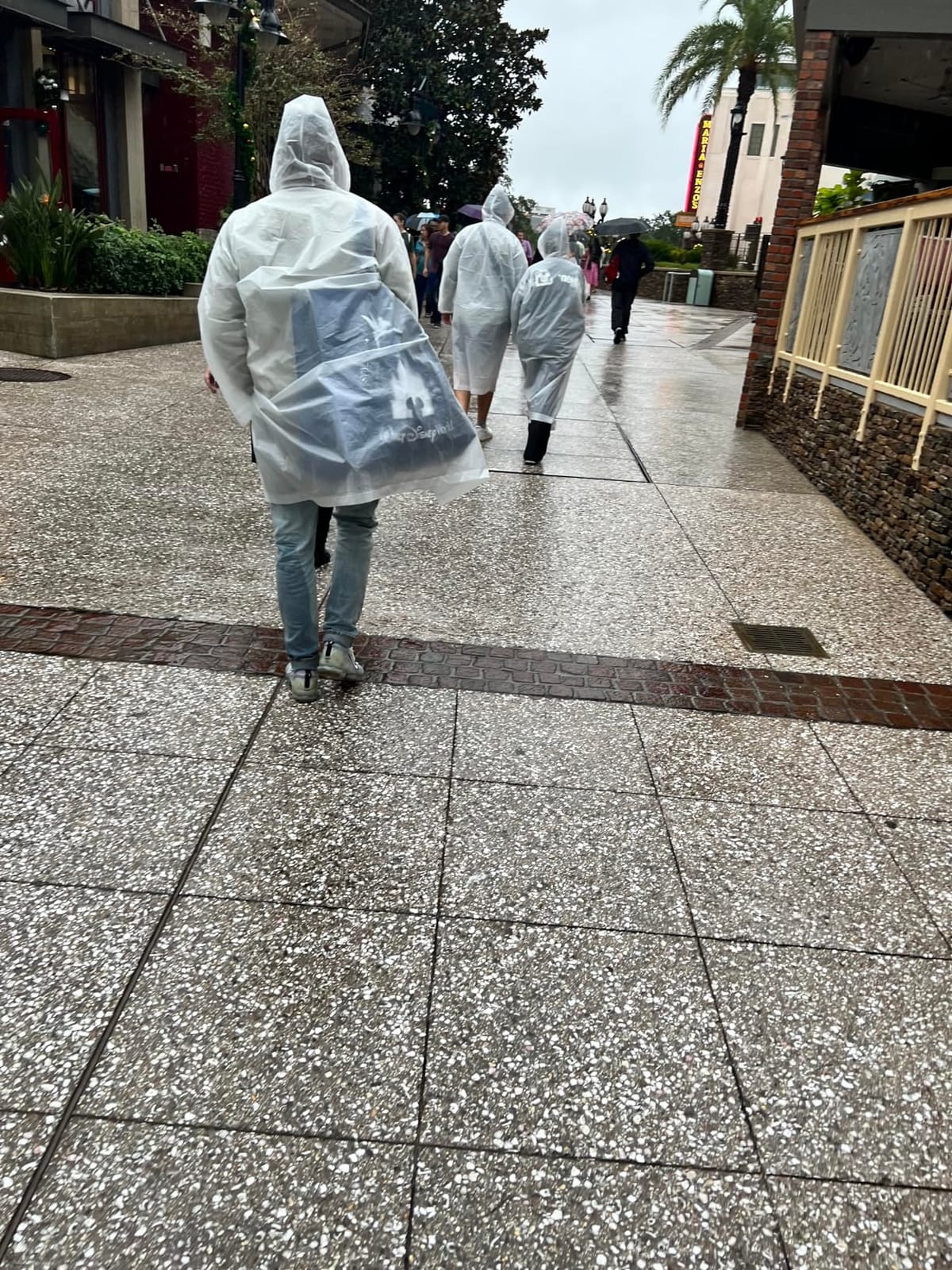 Cosowe Rain Ponchos for Adults Reusable, 2 Pcs Raincoats Emergency for Women Men with Hood and Drawstring customer photo 1