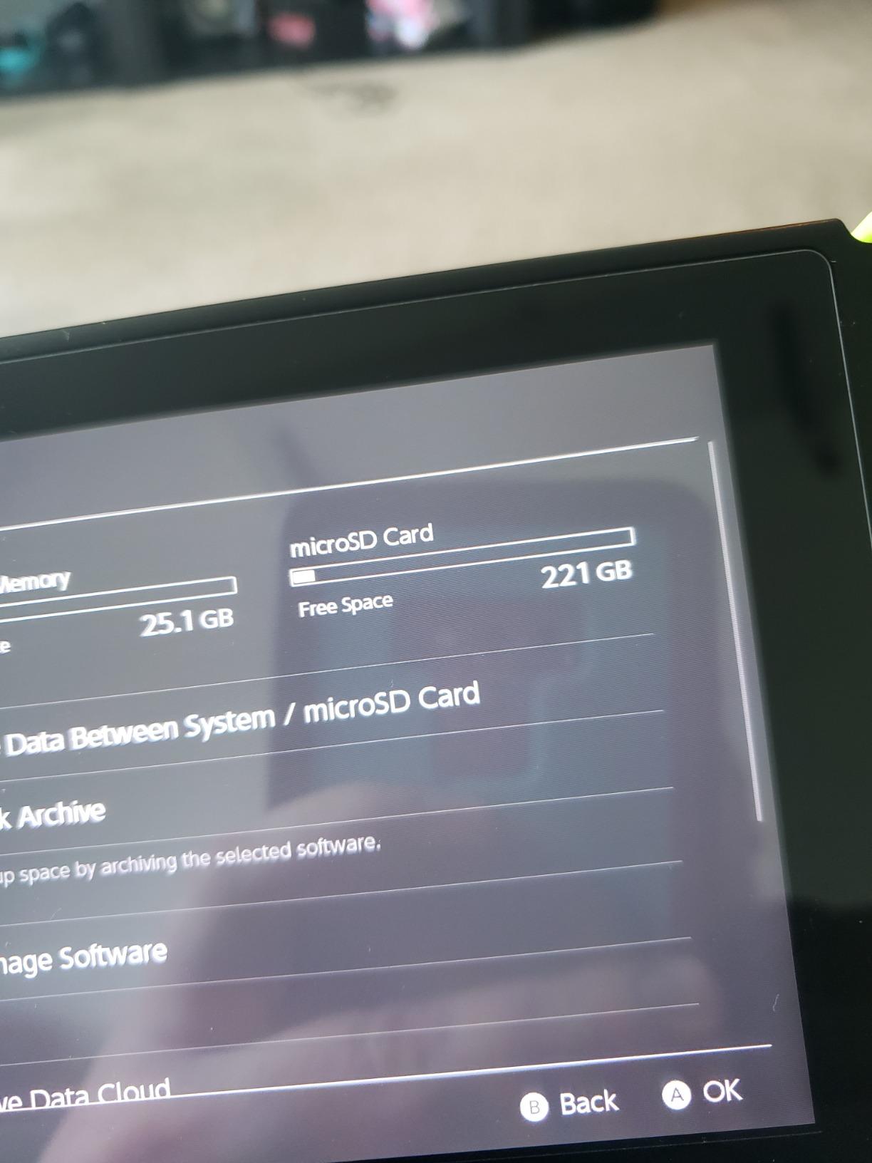 【5-Yrs Free Data Recovery】 GIGASTONE 256GB Micro SD Card, 4K Camera Pro, A2 V30 for Smartphone, Gopro, Action Cams, 4K UHD Video, Nintendo-Switch Compatible, Up to 100MB/s, UHS-I U3 C10 with Adapter customer photo 1