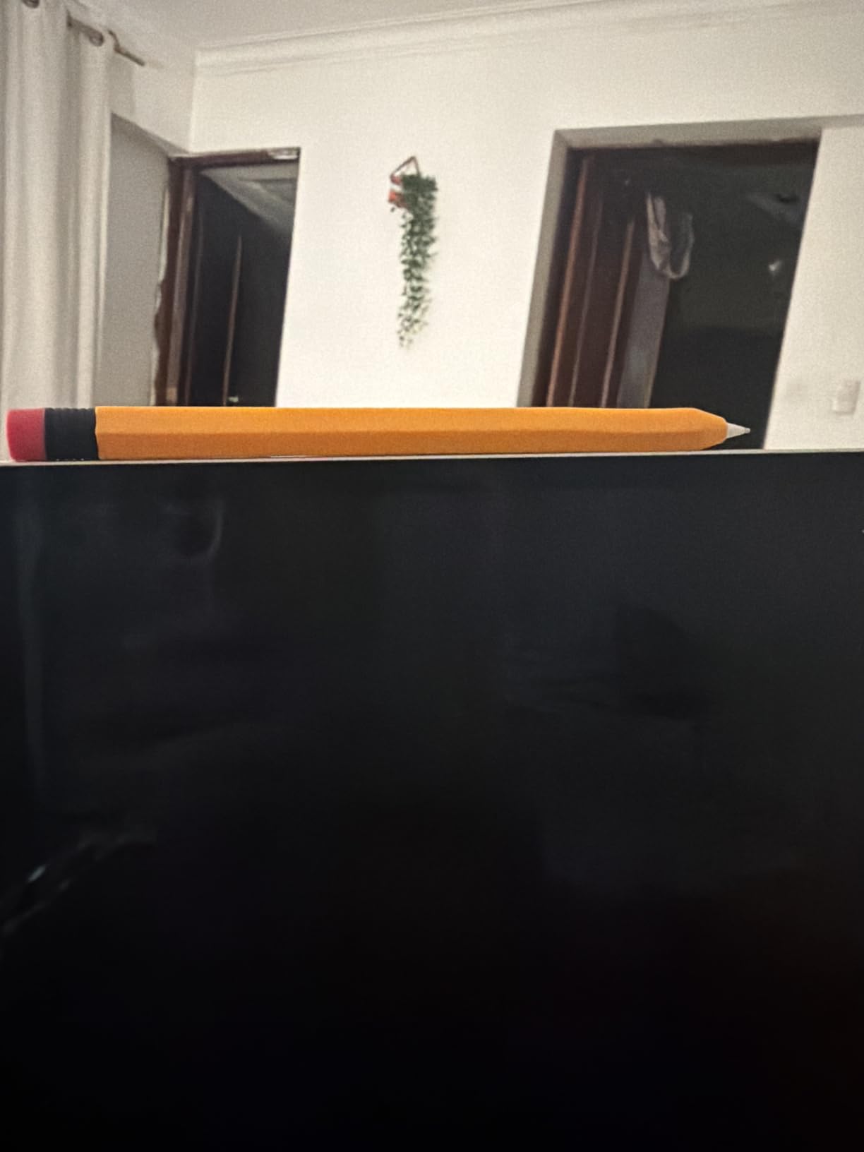 elago Case for Apple Pencil Pro & Apple Pencil 2nd Generation customer photo 1