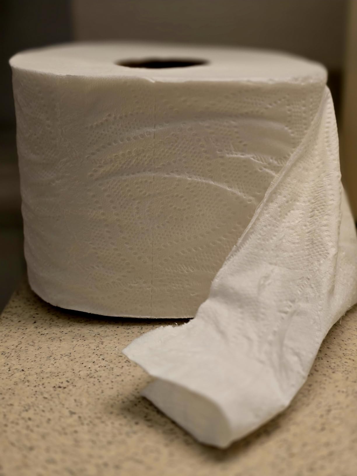 Quilted Northern Toilet Paper, Ultra Plush, 24 Mega Rolls, Bath Tissue customer photo 1