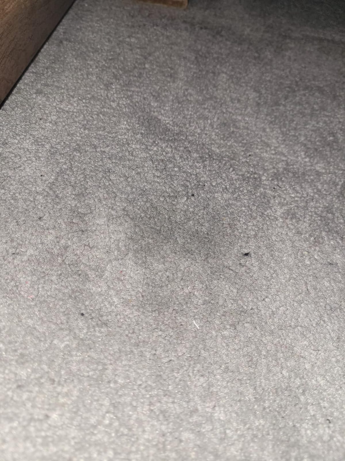Roomba Plus 505 Combo customer photo 2